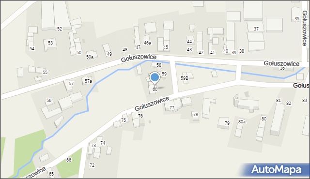Gołuszowice, Gołuszowice, 60, mapa Gołuszowice