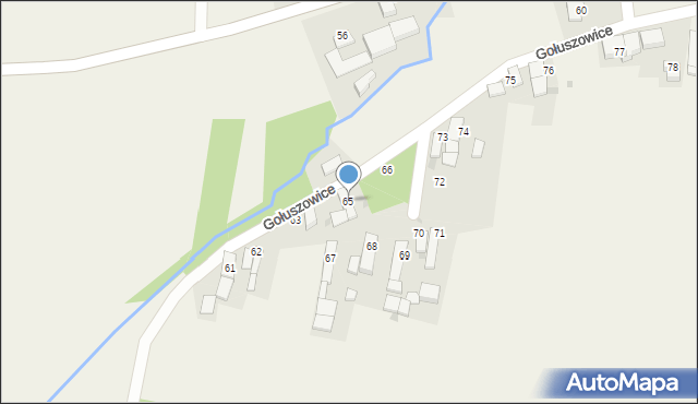 Gołuszowice, Gołuszowice, 65, mapa Gołuszowice