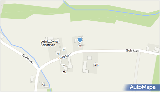Gołyszyn, Gołyszyn, 51, mapa Gołyszyn