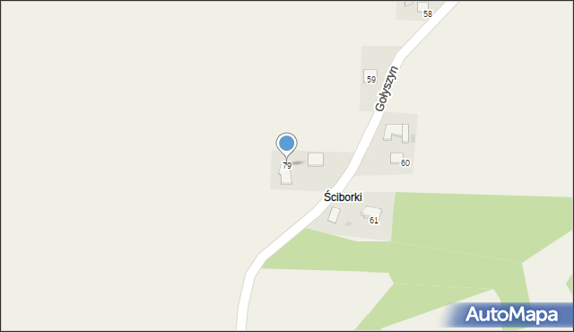 Gołyszyn, Gołyszyn, 79, mapa Gołyszyn