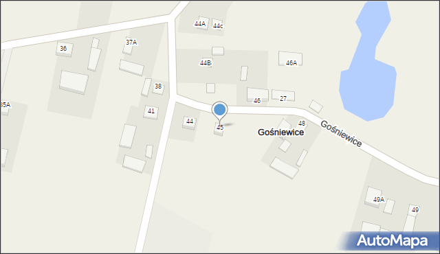 Gośniewice, Gośniewice, 45, mapa Gośniewice