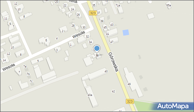 Leszno, Górowska, 38, mapa Leszno