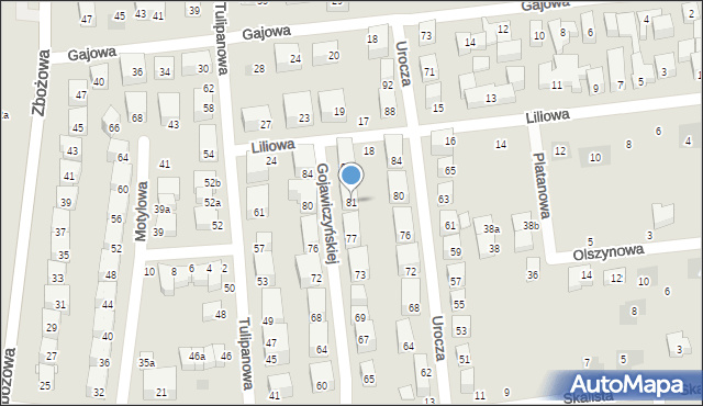 Lublin, Gojawiczyńskiej Poli, 81, mapa Lublina