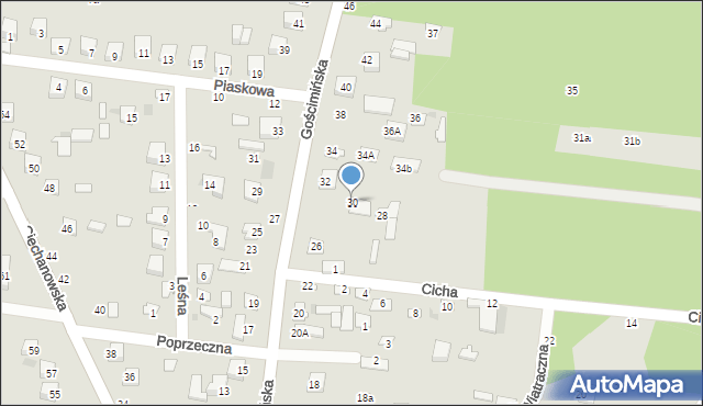 Nowe Miasto, Gościmińska, 30, mapa Nowe Miasto