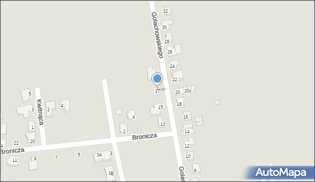 Opole, Golachowskiego Stefana, prof., 17, mapa Opola