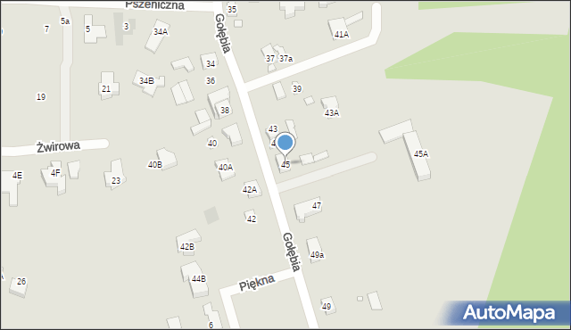 Puszczykowo, Gołębia, 45, mapa Puszczykowo
