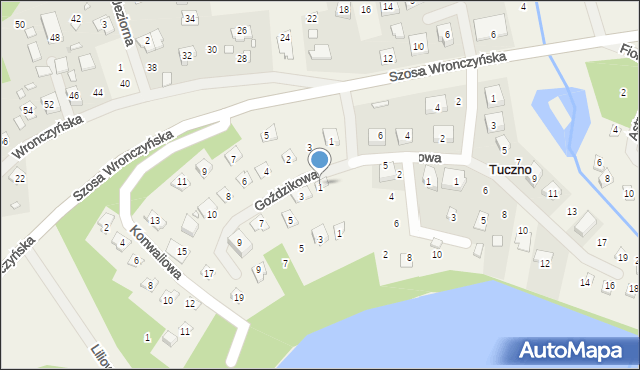 Stęszewko, Goździkowa, 1, mapa Stęszewko