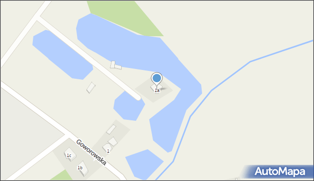 Wąsewo, Goworowska, 1a, mapa Wąsewo