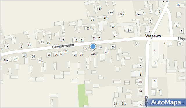 Wąsewo, Goworowska, 44a, mapa Wąsewo