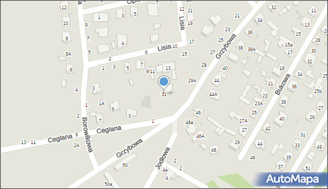 Biała Podlaska, Grzybowa, 31, mapa Białej Podlaskiej