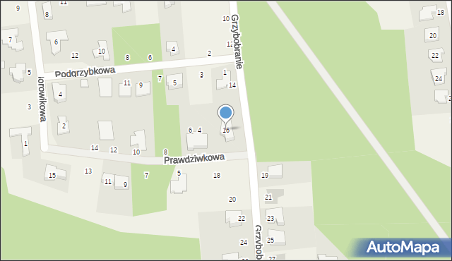 Borówiec, Grzybobranie, 16, mapa Borówiec