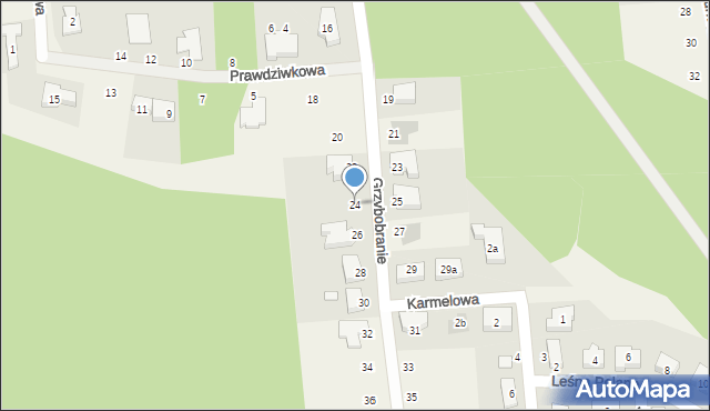 Borówiec, Grzybobranie, 24, mapa Borówiec