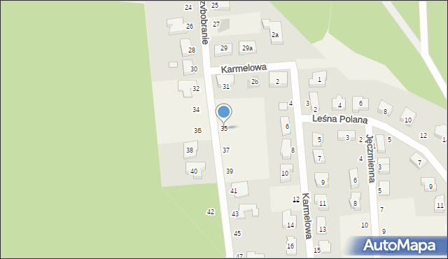 Borówiec, Grzybobranie, 35, mapa Borówiec