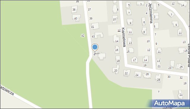 Borówiec, Grzybobranie, 47, mapa Borówiec