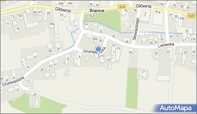 Branice, Grunwaldzka, 2, mapa Branice