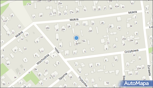 Celestynów, Grzybowa, 3A, mapa Celestynów