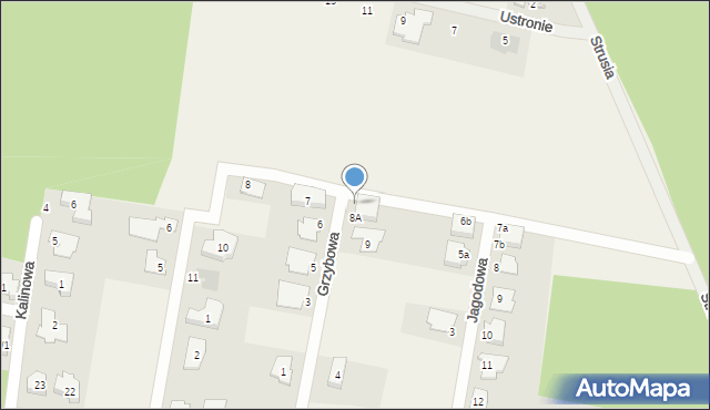 Dąbcze, Grzybowa, 8B, mapa Dąbcze