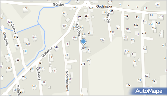 Godziszka, Grzybowa, 529, mapa Godziszka