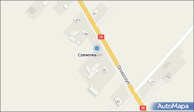 Gruszczyn, Gruszczyn, 60, mapa Gruszczyn