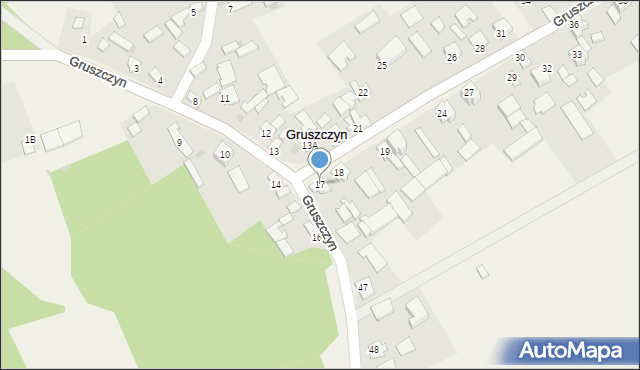 Gruszczyn, Gruszczyn, 17, mapa Gruszczyn