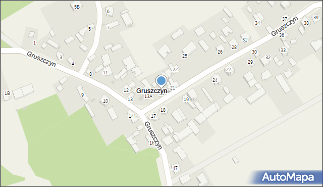 Gruszczyn, Gruszczyn, 20, mapa Gruszczyn