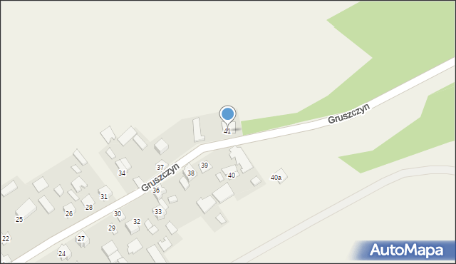 Gruszczyn, Gruszczyn, 41, mapa Gruszczyn