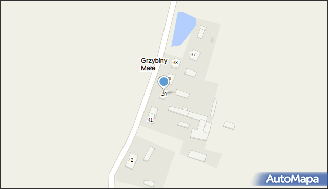 Grzybiny, Grzybiny, 40, mapa Grzybiny