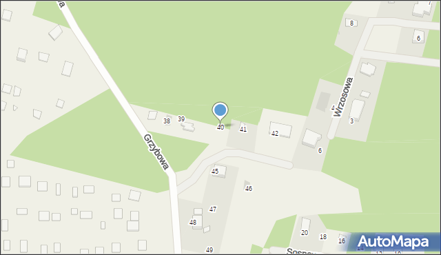 Kamieńczyk, Grzybowa, 40, mapa Kamieńczyk