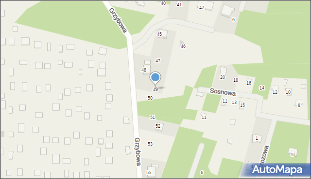 Kamieńczyk, Grzybowa, 49, mapa Kamieńczyk