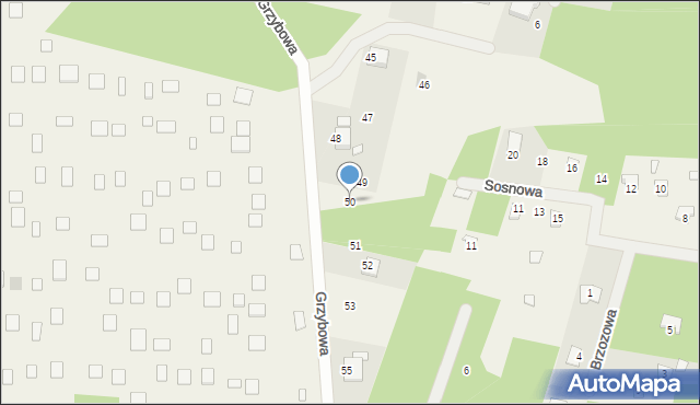 Kamieńczyk, Grzybowa, 50, mapa Kamieńczyk