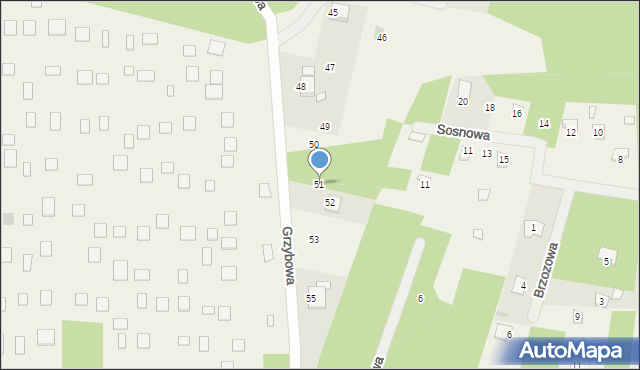 Kamieńczyk, Grzybowa, 51, mapa Kamieńczyk