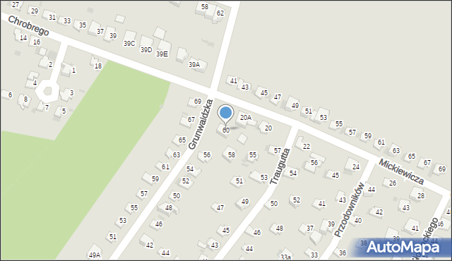 Lędziny, Grunwaldzka, 60, mapa Lędziny