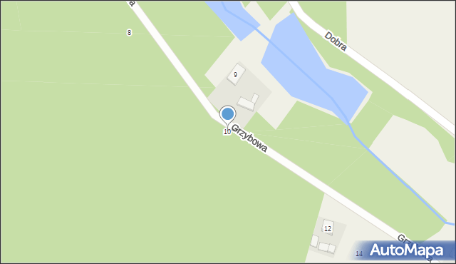 Leśna, Grzybowa, 10, mapa Leśna