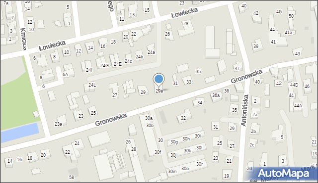 Leszno, Gronowska, 29a, mapa Leszno