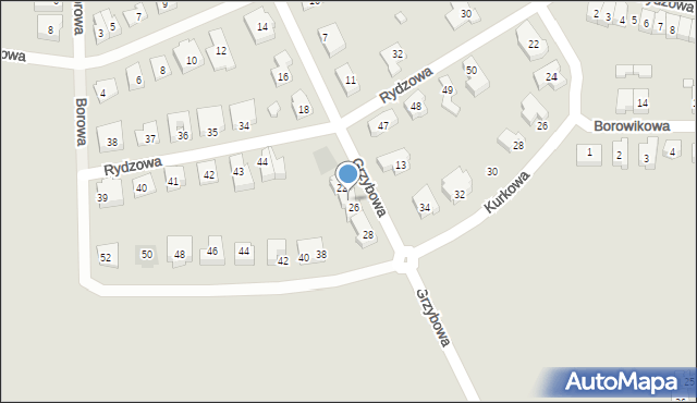 Leszno, Grzybowa, 24, mapa Leszno