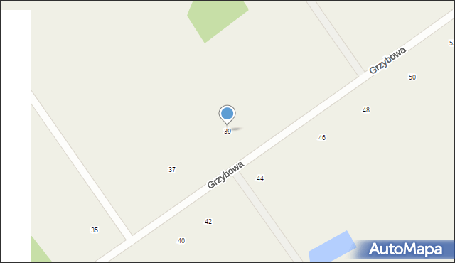 Łomazy, Grzybowa, 39, mapa Łomazy