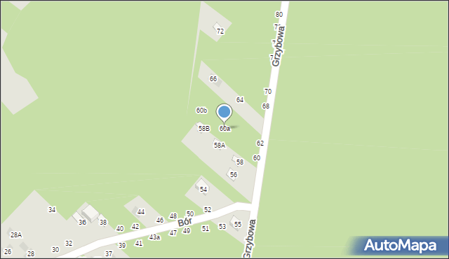 Lublin, Grzybowa, 60a, mapa Lublina