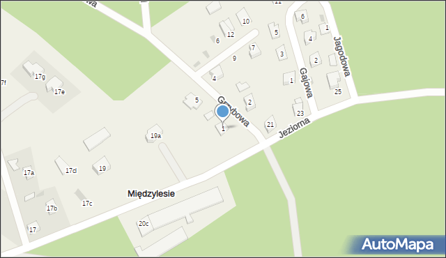 Międzylesie, Grzybowa, 1, mapa Międzylesie
