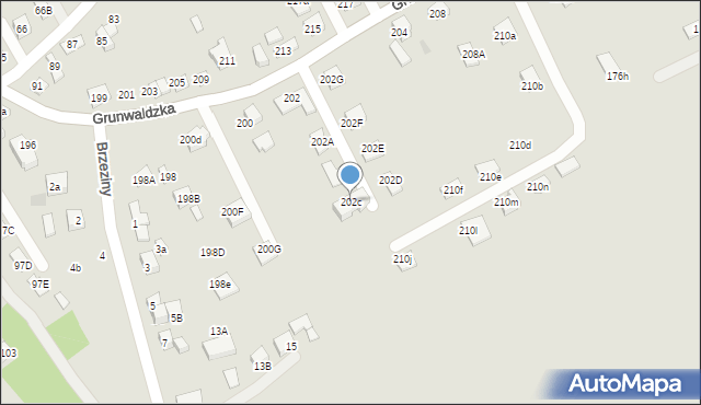 Nowy Sącz, Grunwaldzka, 202c, mapa Nowego Sącza
