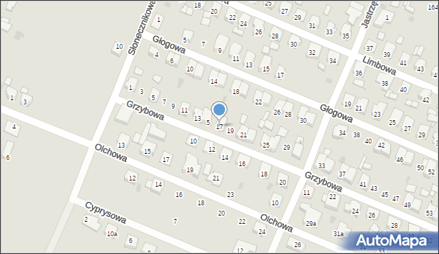 Ostrów Wielkopolski, Grzybowa, 17, mapa Ostrów Wielkopolski