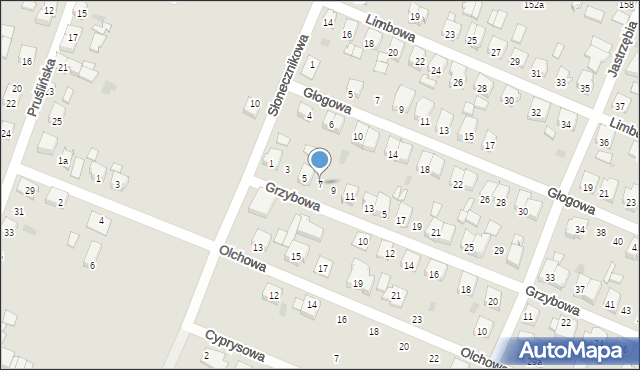 Ostrów Wielkopolski, Grzybowa, 7, mapa Ostrów Wielkopolski