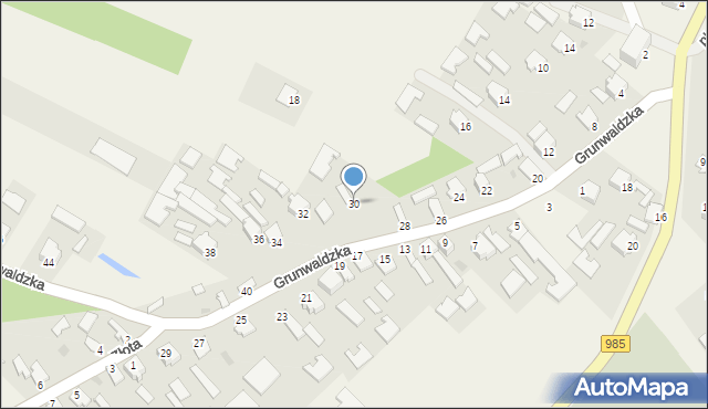 Padew Narodowa, Grunwaldzka, 30, mapa Padew Narodowa