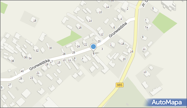 Padew Narodowa, Grunwaldzka, 5, mapa Padew Narodowa