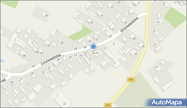 Padew Narodowa, Grunwaldzka, 7, mapa Padew Narodowa