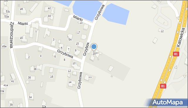 Pawłowice, Grzybowa, 13, mapa Pawłowice