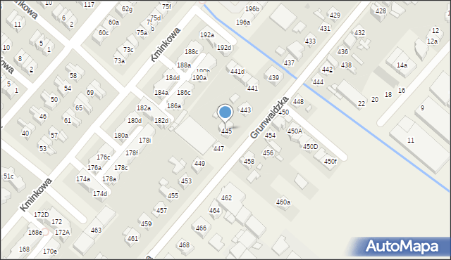 Plewiska, Grunwaldzka, 445, mapa Plewiska