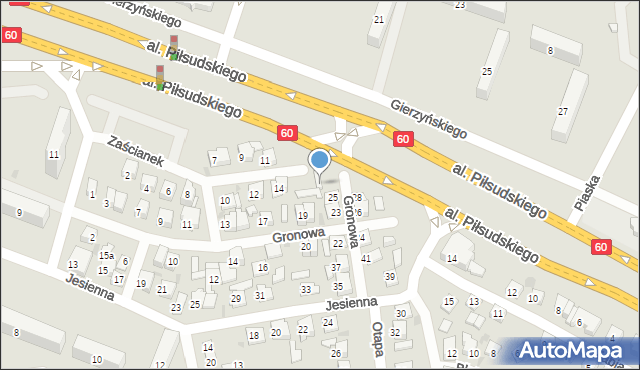 Płock, Gronowa, 25A, mapa Płock