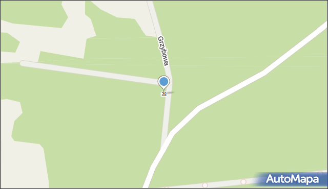 Podbiel, Grzybowa, 38, mapa Podbiel