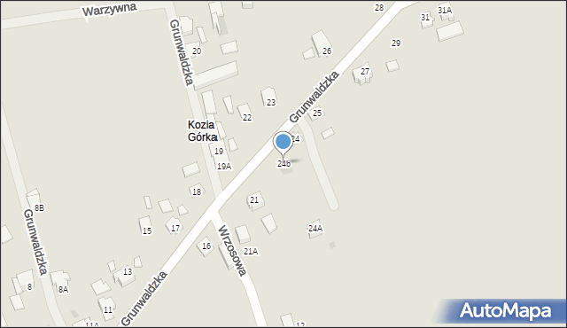 Pruchnik, Grunwaldzka, 24b, mapa Pruchnik