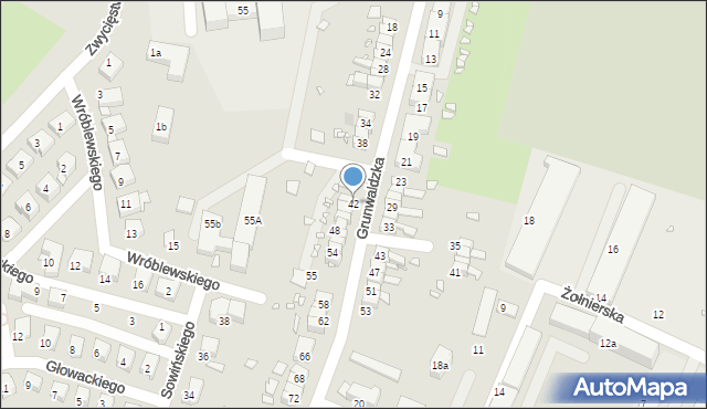 Prudnik, Grunwaldzka, 42, mapa Prudnik